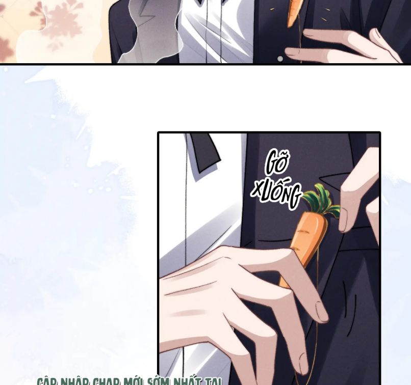 Chấp Sự Thỏ Cụp Tai Chapter 6 - 10