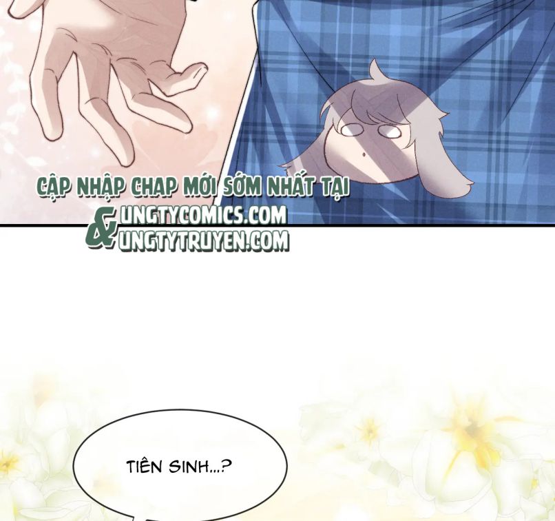 Chấp Sự Thỏ Cụp Tai Chapter 6 - 25